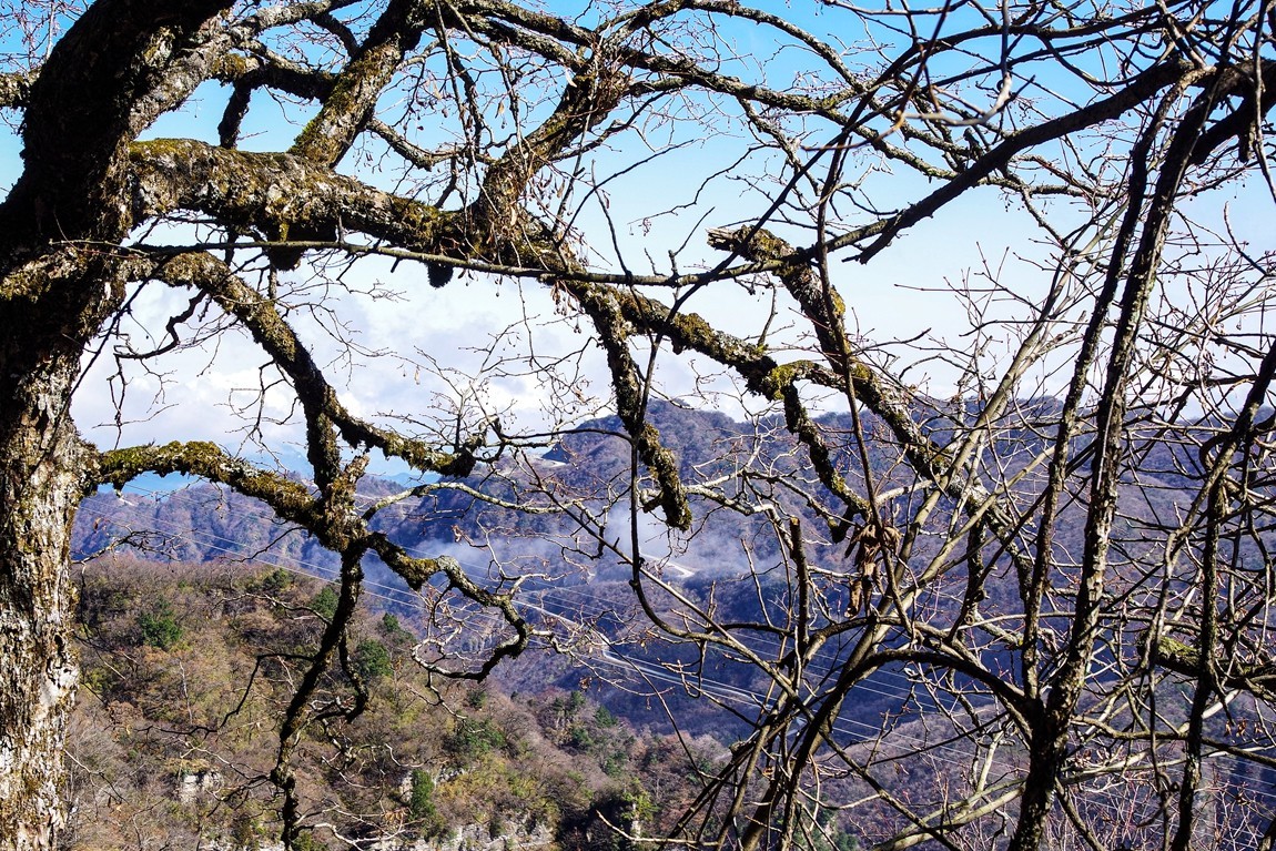 光雾山金秋行【7】