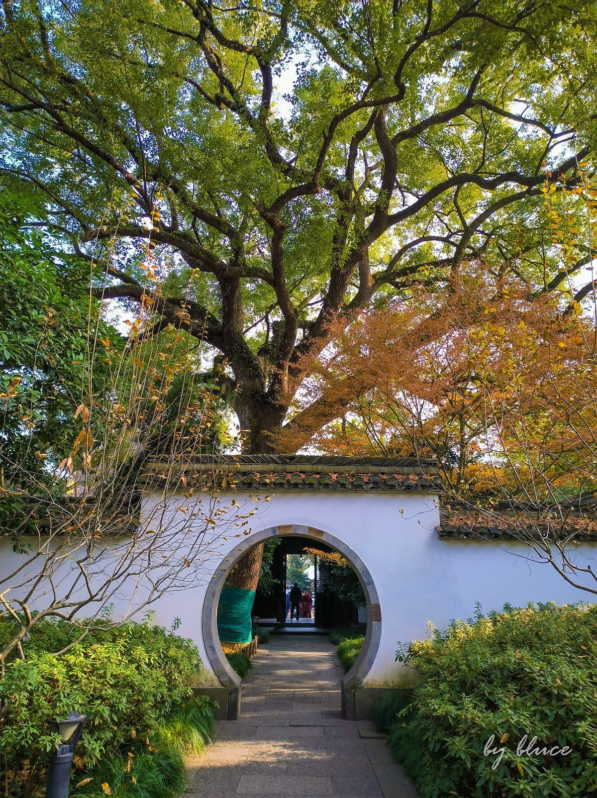 西湖冬景（11）