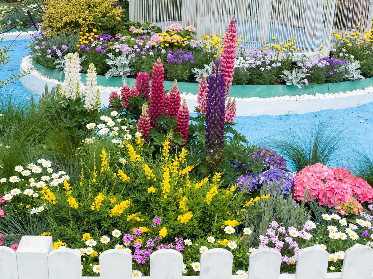 第二十三届都市森林百花展（1）