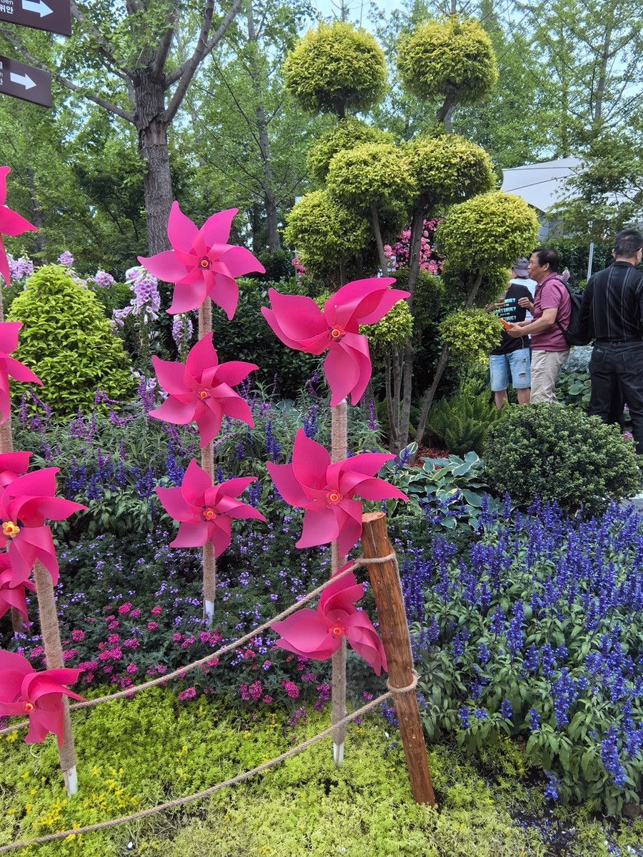 夏日情书*世界花园大会——武汉随笔