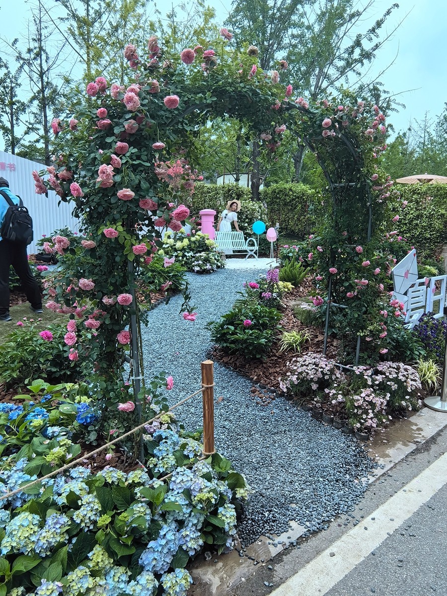 夏日情书*世界花园大会——武汉随笔