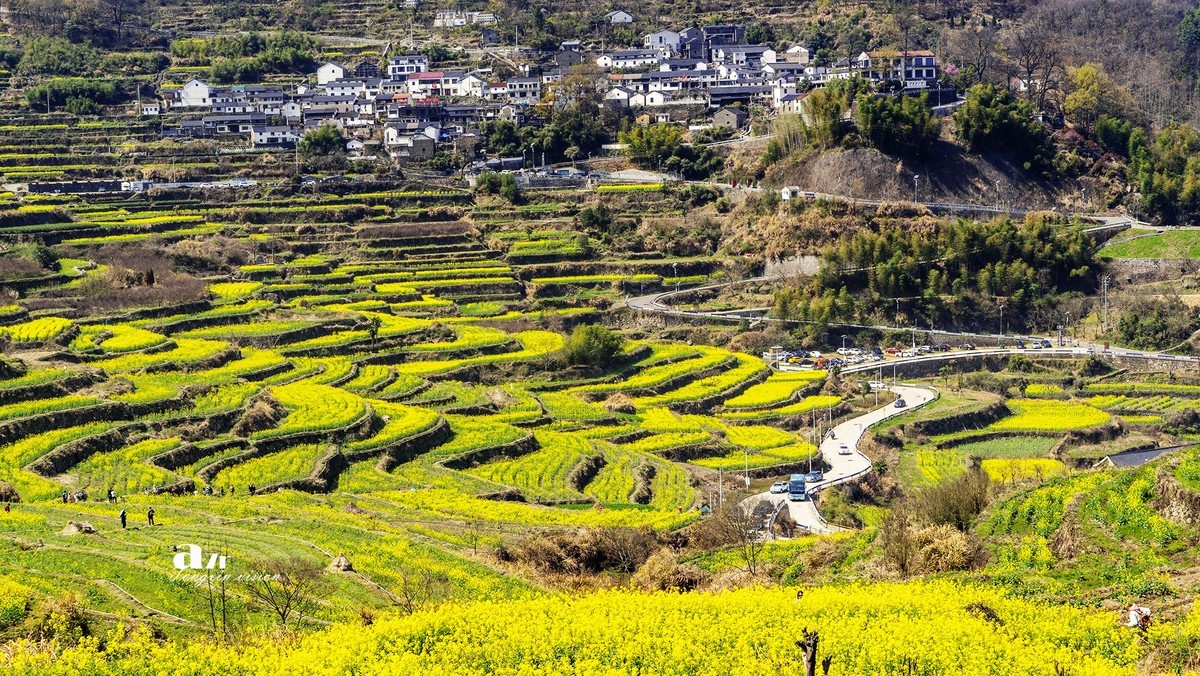 三月下江南——岭南覆卮山油菜花梯田（5）