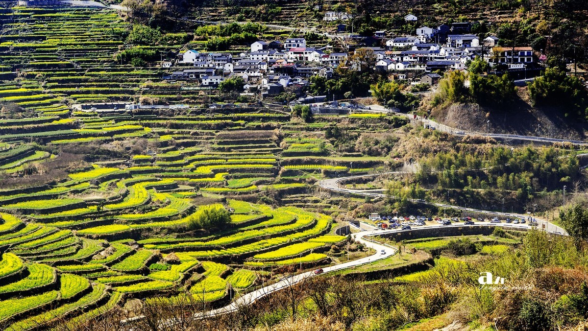 三月下江南——岭南覆卮山油菜花梯田（5）