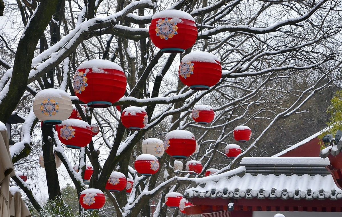春雪芙蓉园