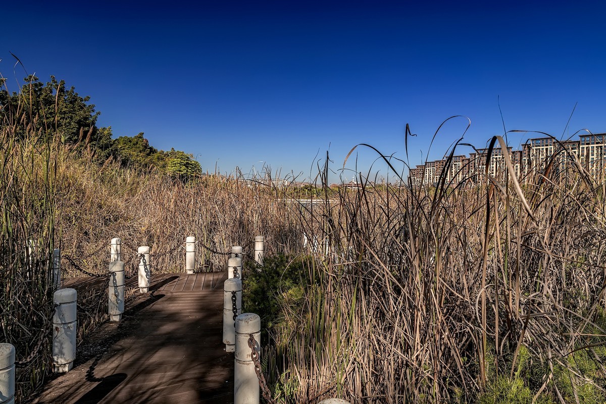 云南元谋 · 凤凰湖