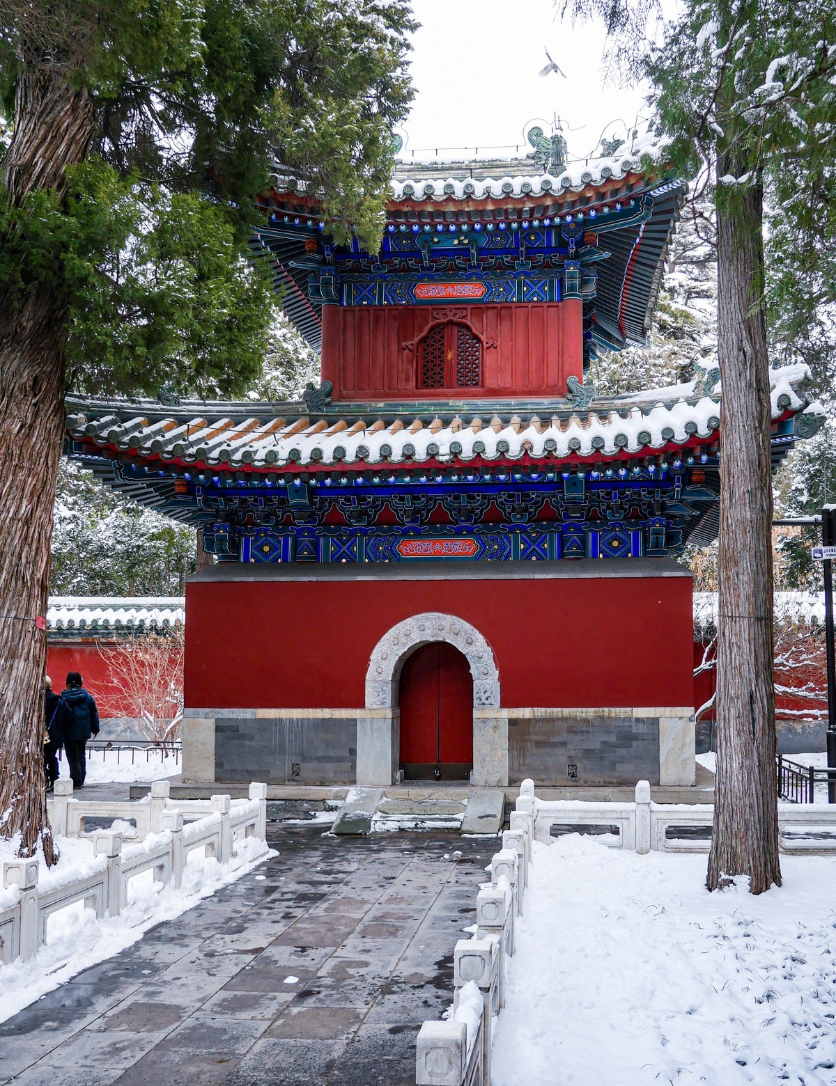 雪后的京城20240221 《98》