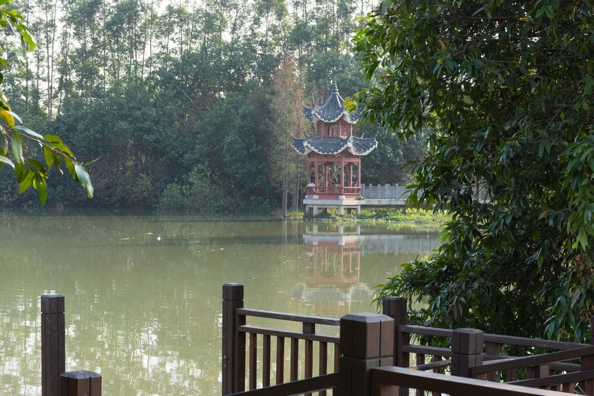 逛湿地公园，看见一个奇葩爬树钓鱼人