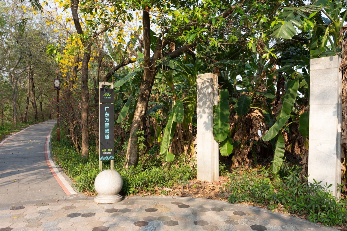 逛湿地公园，看见一个奇葩爬树钓鱼人