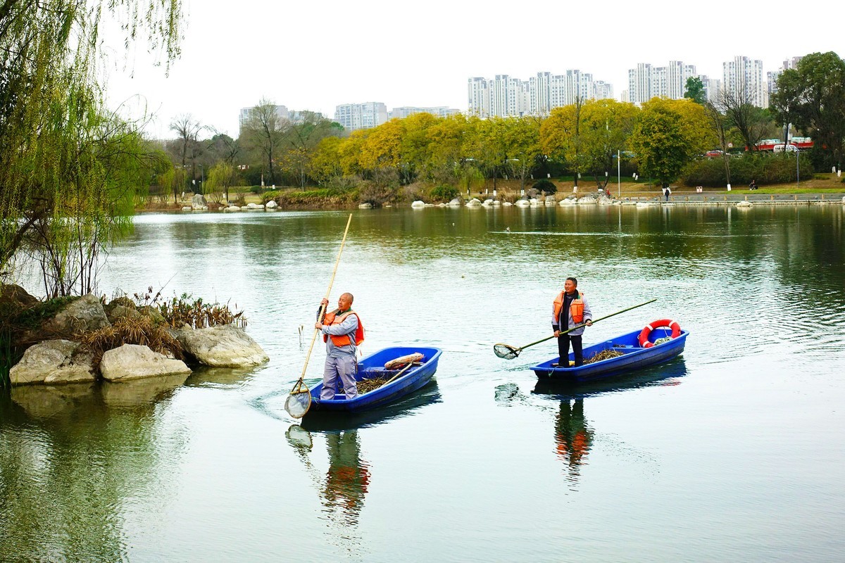 锦城湖的拍鸟人