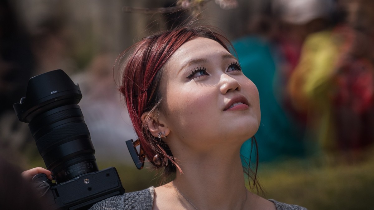 樱 花 盛 开 （ 二 ）