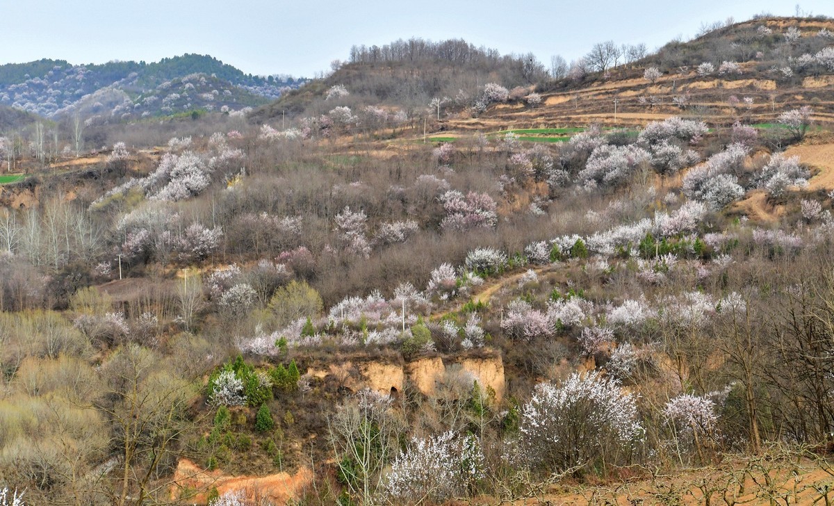 我只是把出去看到的随手记录下来（148）