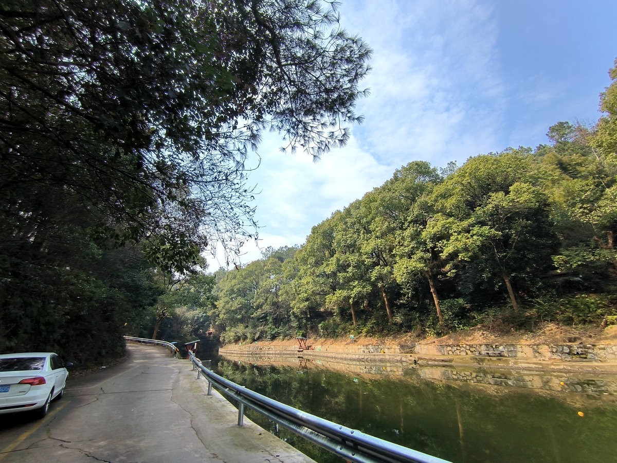 漫步星城 走街串巷（658）来碗河南烩面