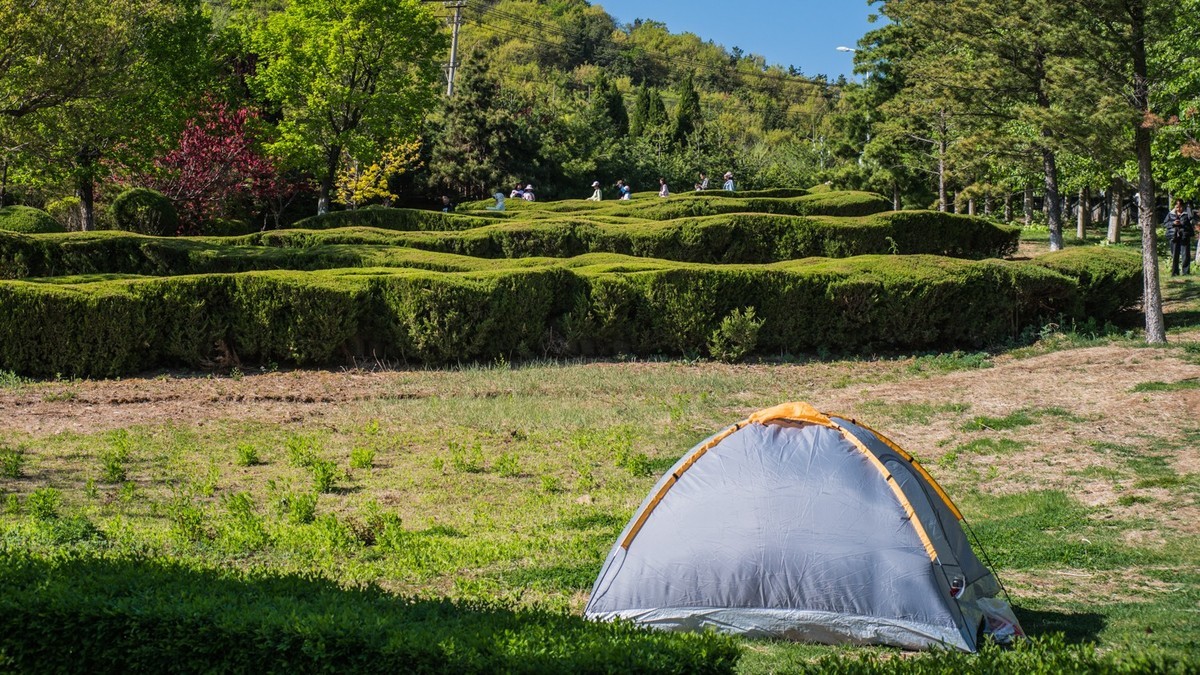 “ 五 一 ”棠 梨 湖 （ 四 ）