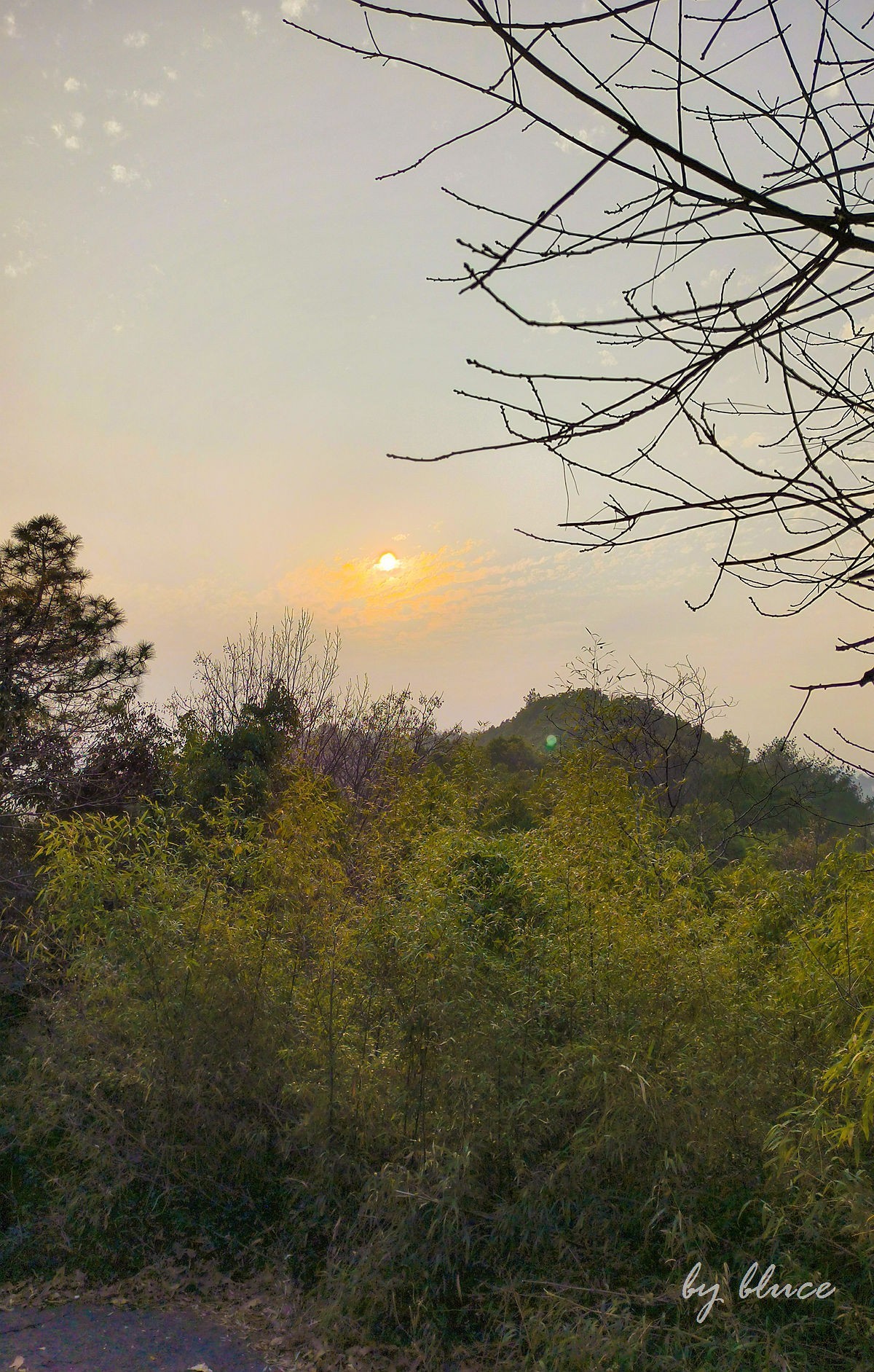 西湖冬景（11）