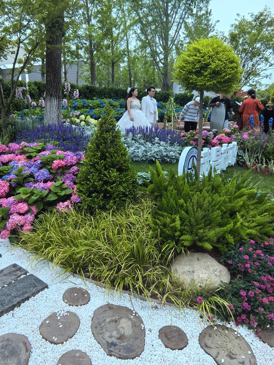 夏日情书*世界花园大会——武汉随笔