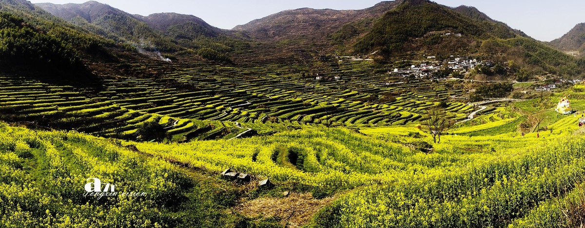 三月下江南——岭南覆卮山油菜花梯田（5）