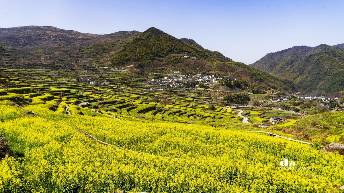 三月下江南——岭南覆卮山油菜花梯田（5）