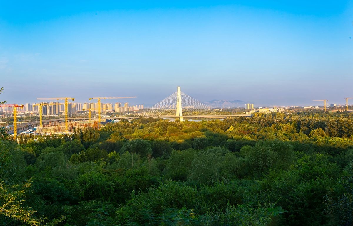 卧虎山公园的晨景