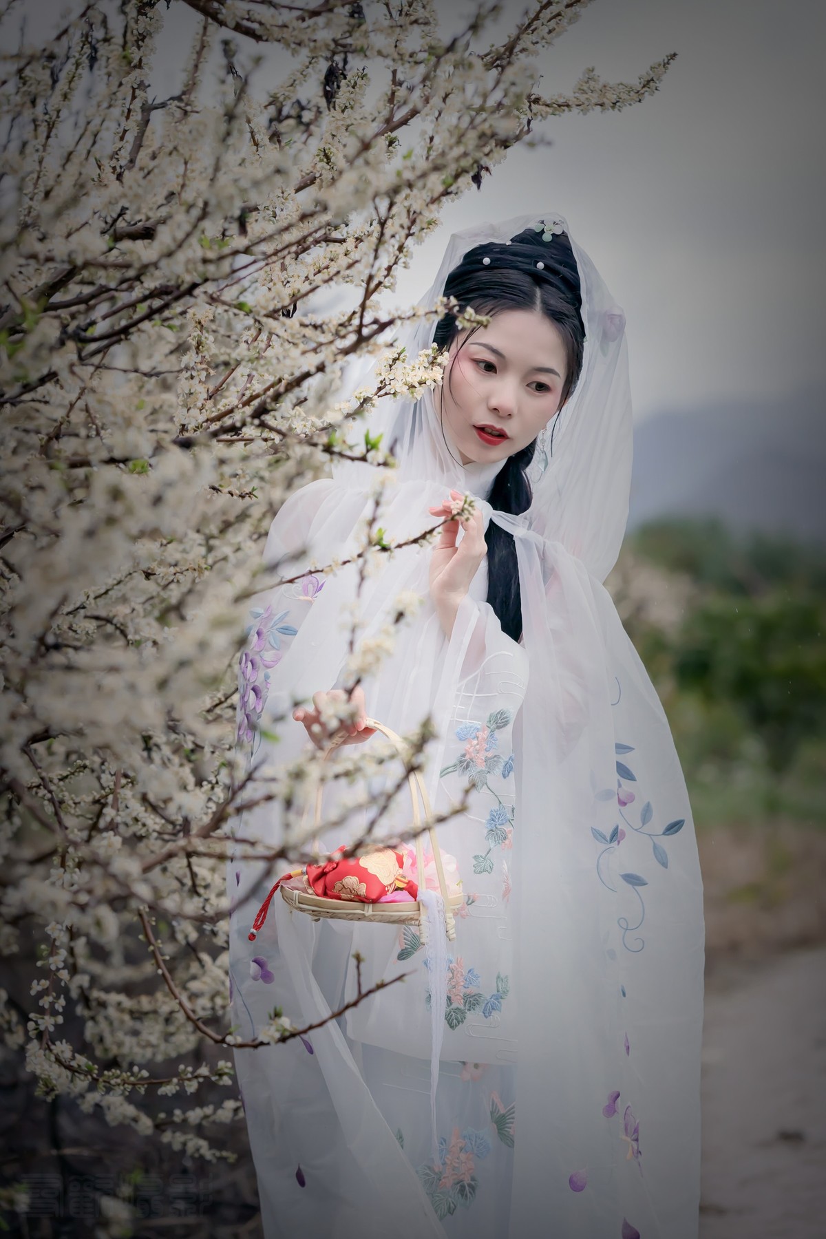 二月江南山水路，李花零落春无主。