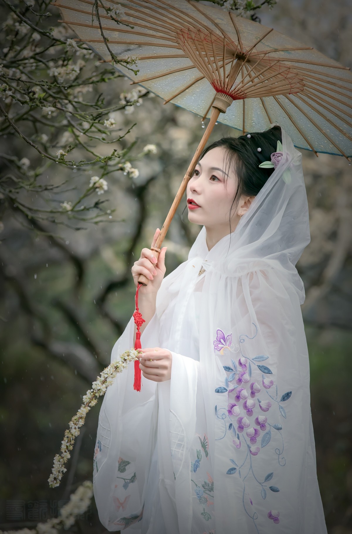 二月江南山水路，李花零落春无主。