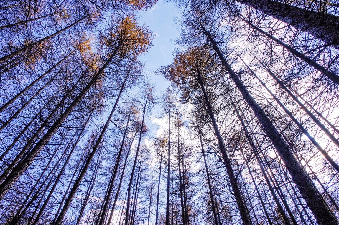 光雾山金秋行【7】