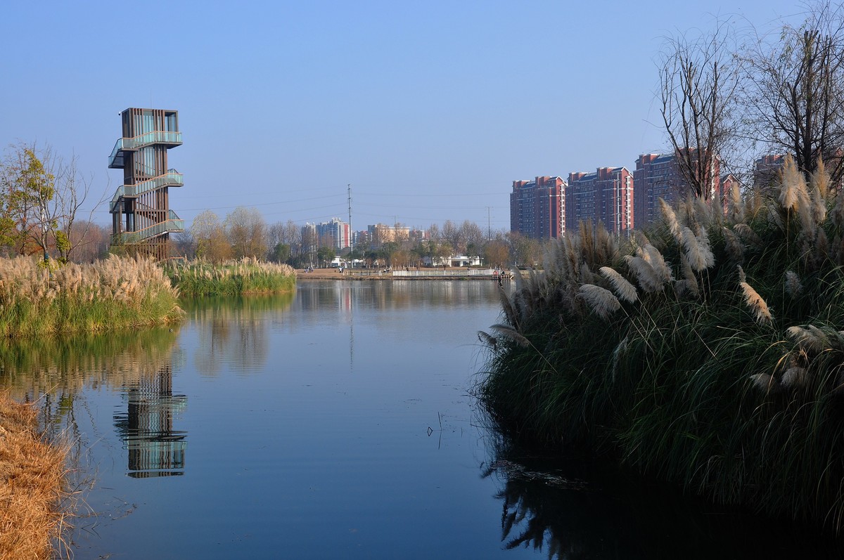 江东水生态湿地公园一期