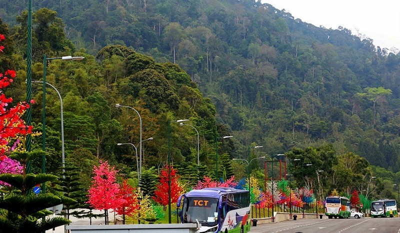 【不老松：游摄异国风情：新、马、泰！】（138）云顶高原 (2)