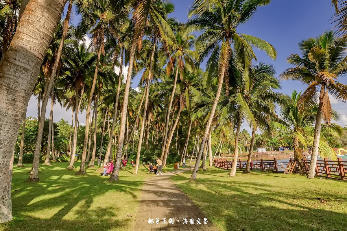 椰子之乡-文昌-椰子大观园（2）