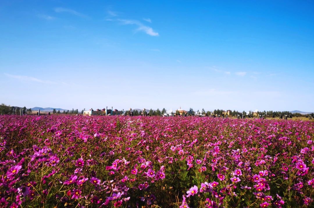 初显秋意的九月京北草原大汗行宫
