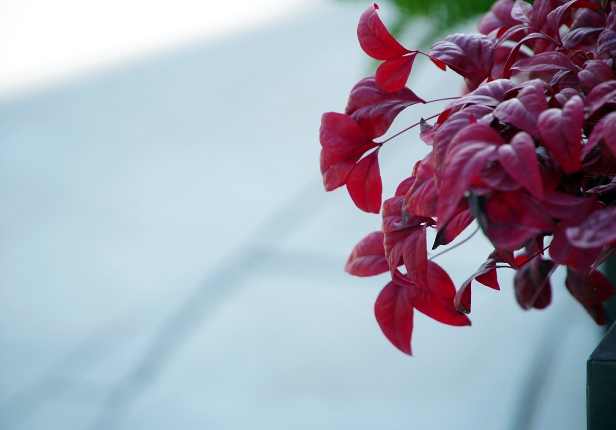 2025，春日游拍之三