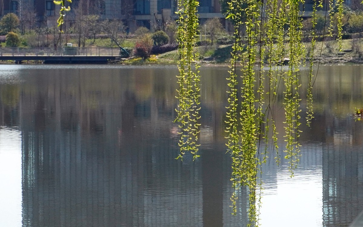2025，春日游拍之三