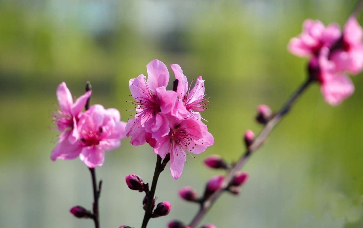 2025，春日游拍之三