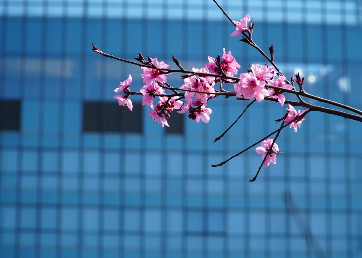 2025，春日游拍之三