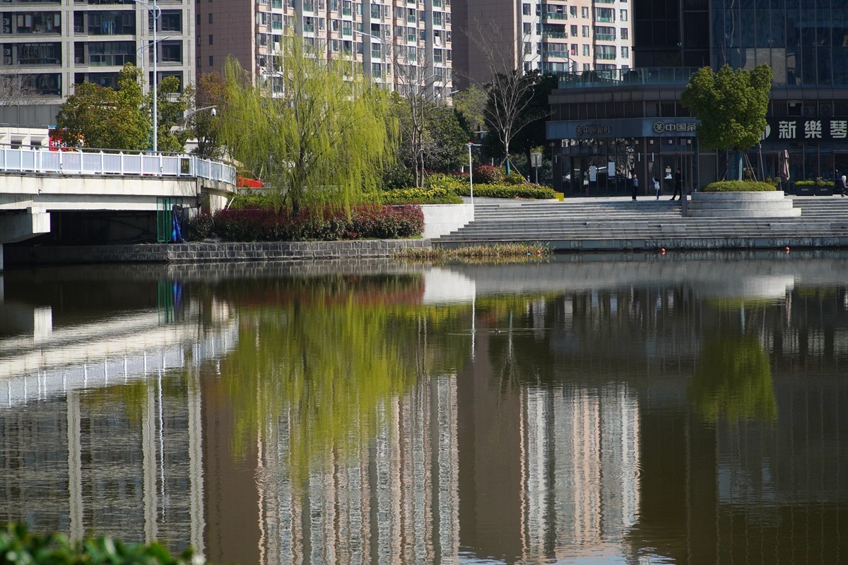 2025，春日游拍之三