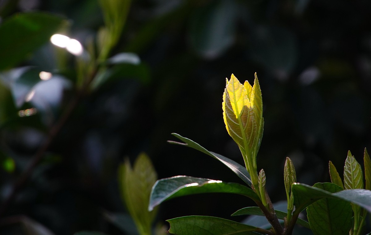 2025，春日游拍之三