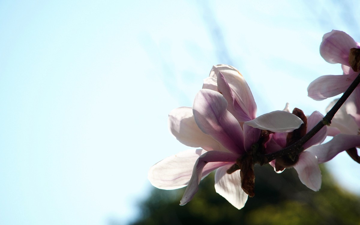 2025，春日游拍之三