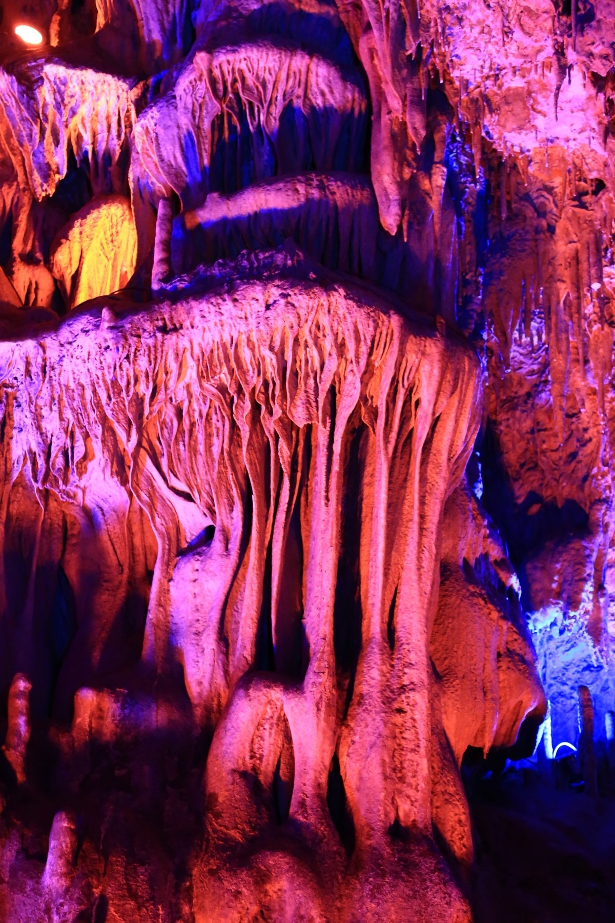 我只是把出去看到的随手记录下来（149）