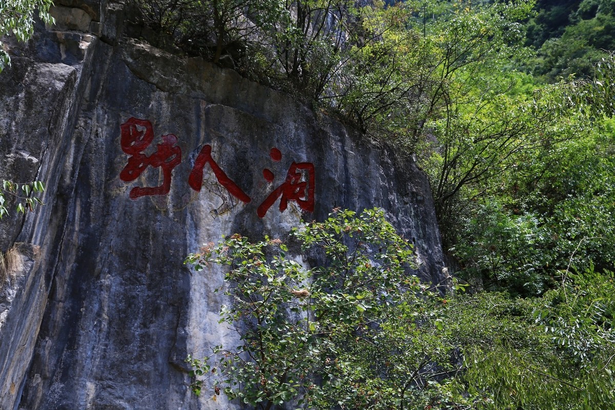 我只是把出去看到的随手记录下来（149）