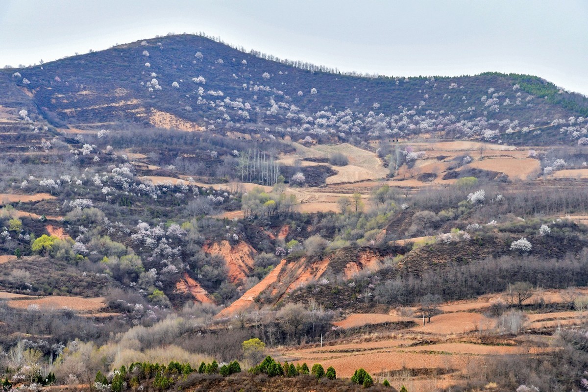 我只是把出去看到的随手记录下来（148）