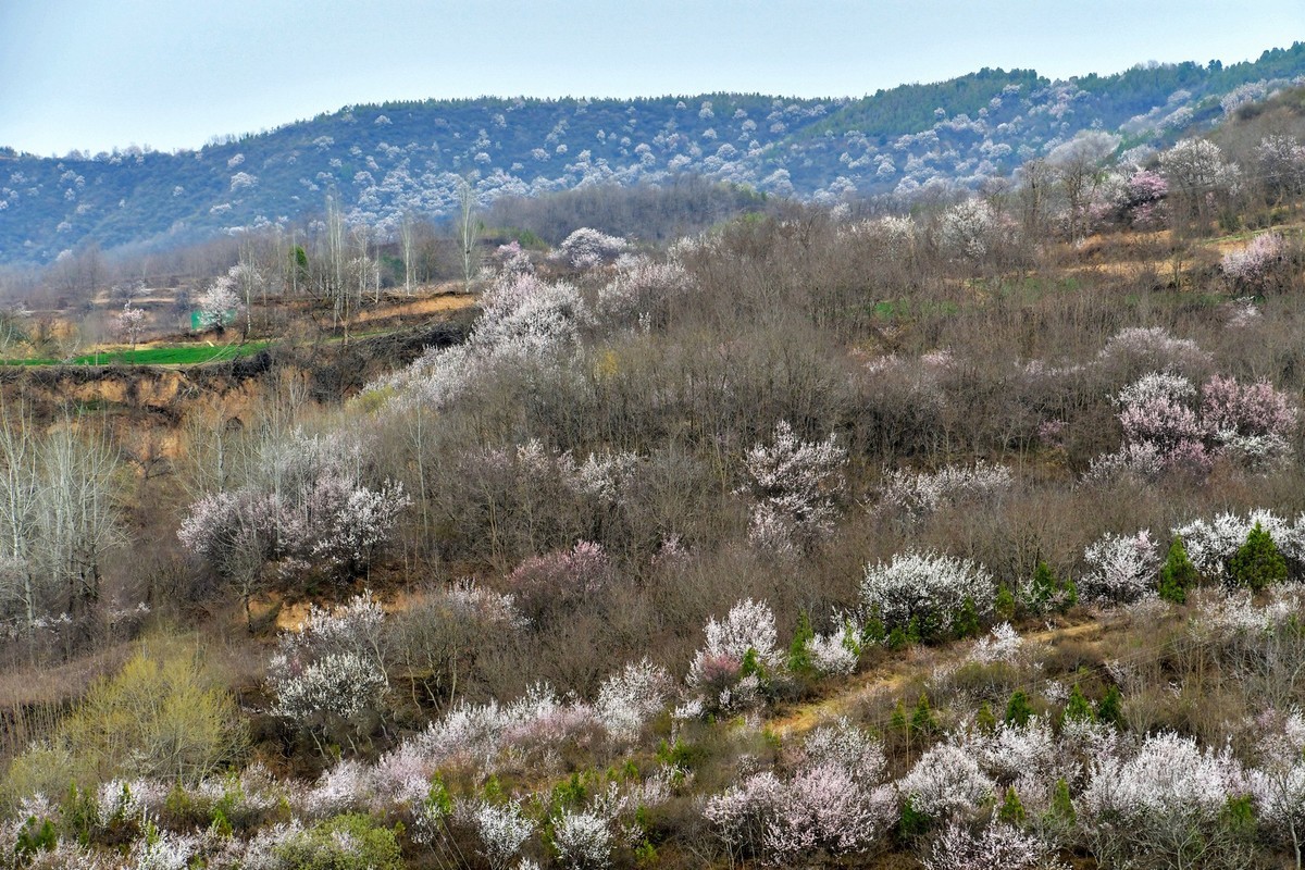 我只是把出去看到的随手记录下来（148）