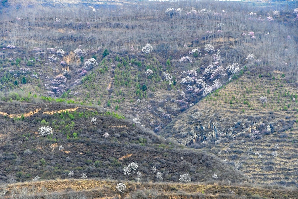 我只是把出去看到的随手记录下来（148）