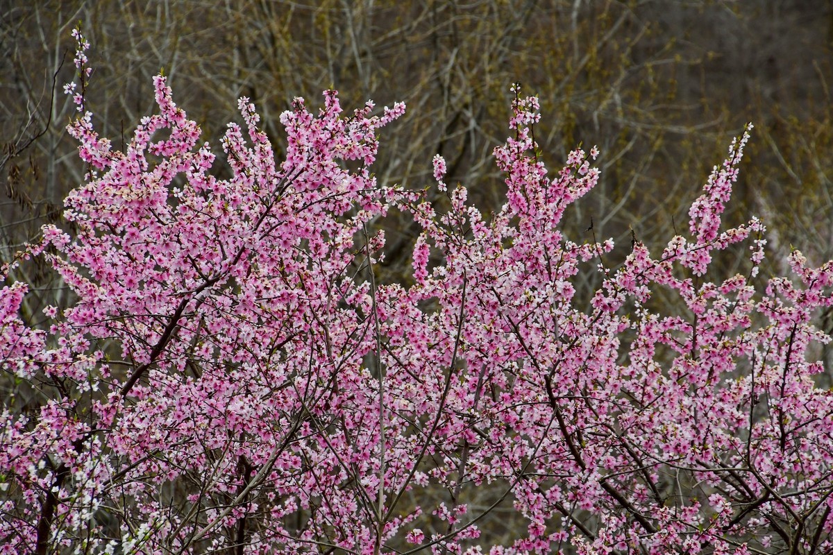 我只是把出去看到的随手记录下来（148）