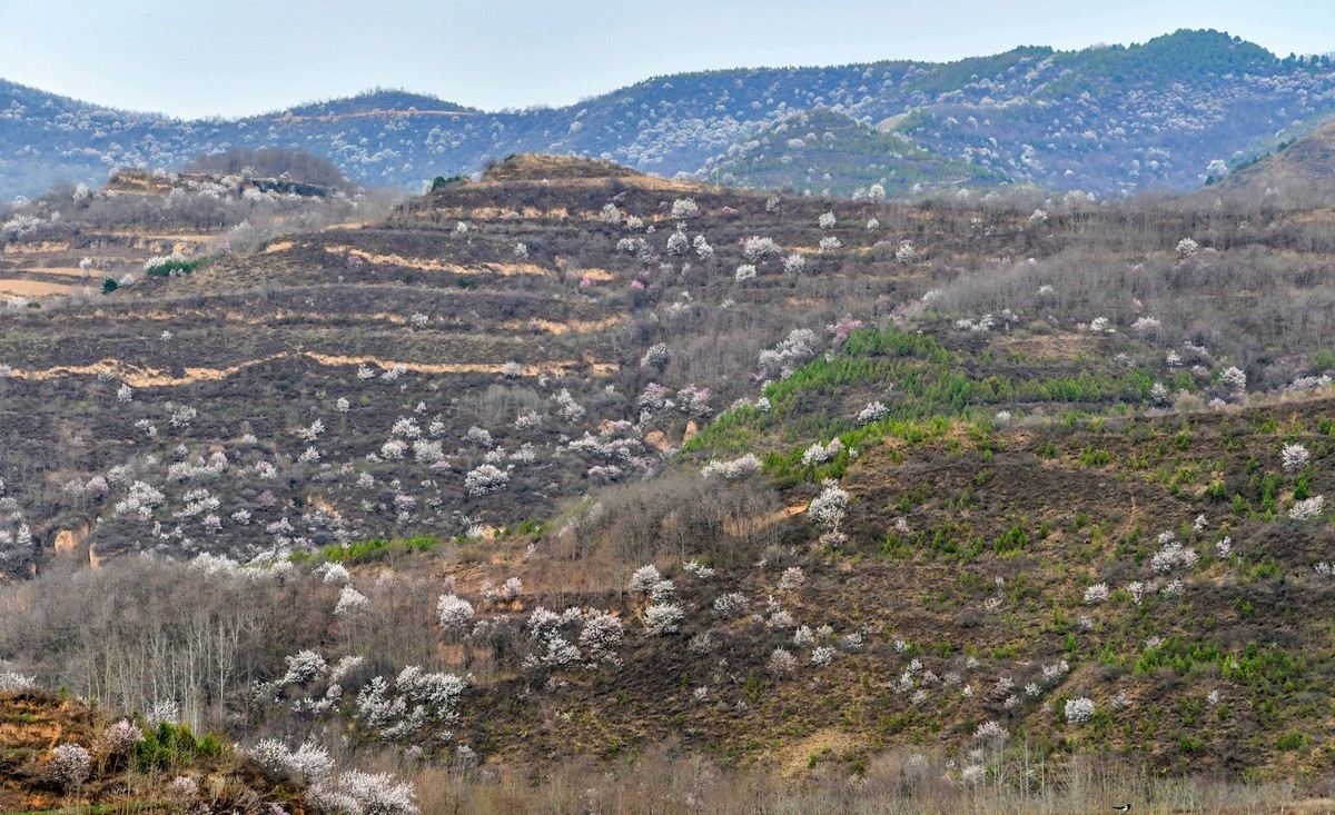 我只是把出去看到的随手记录下来（148）