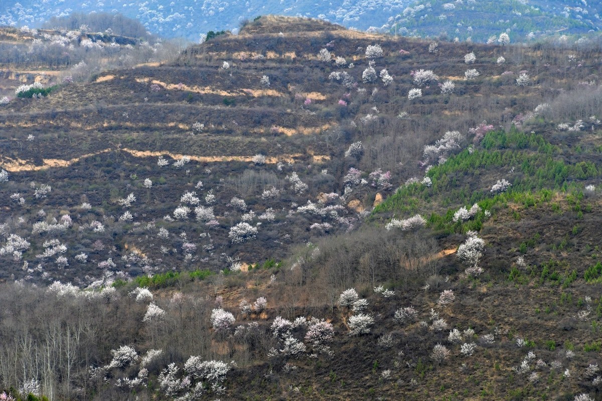 我只是把出去看到的随手记录下来（148）