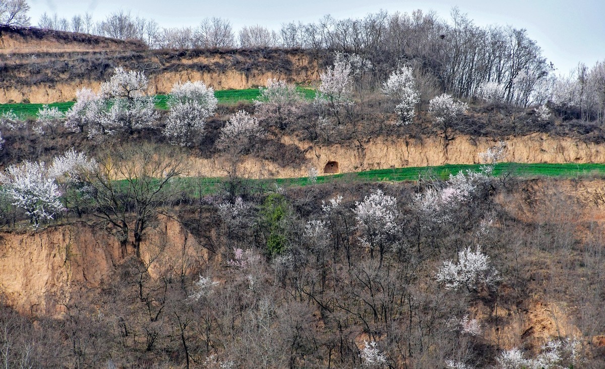 我只是把出去看到的随手记录下来（148）