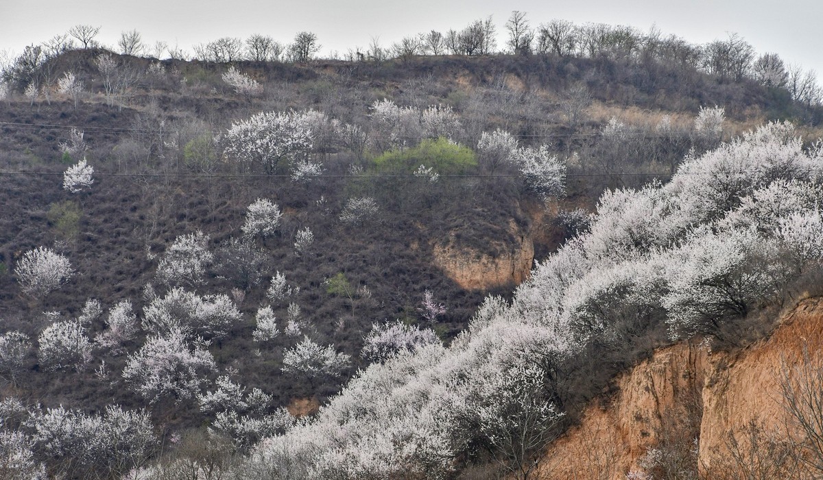 我只是把出去看到的随手记录下来（148）