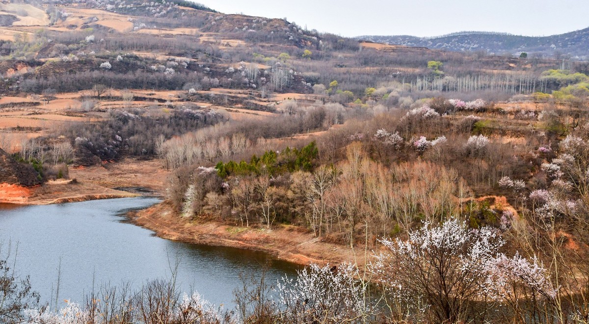我只是把出去看到的随手记录下来（148）