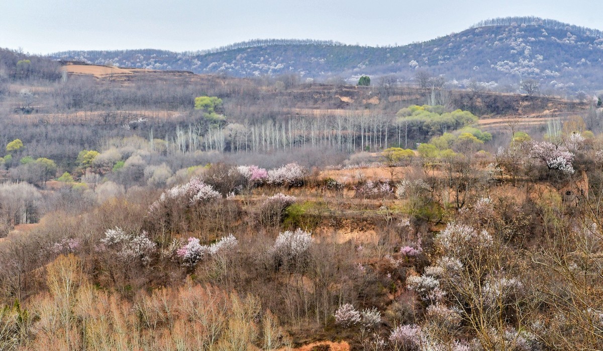 我只是把出去看到的随手记录下来（148）