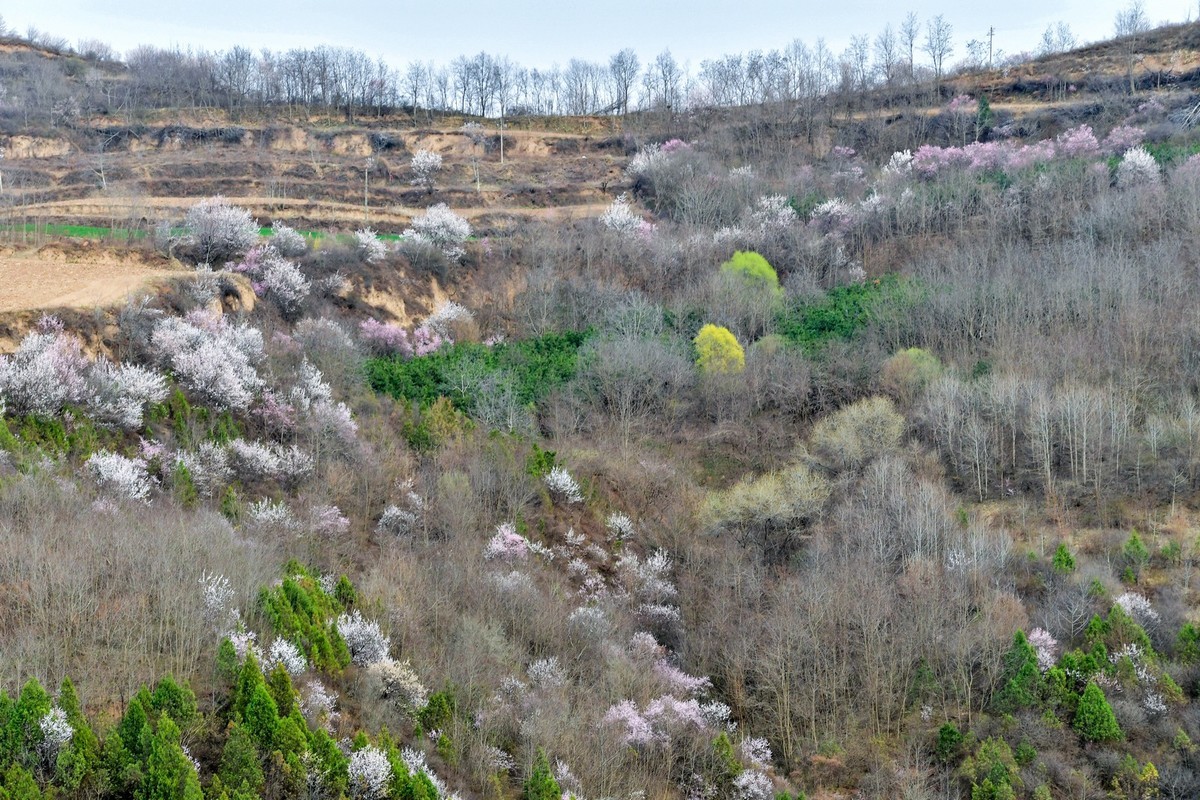 我只是把出去看到的随手记录下来（148）