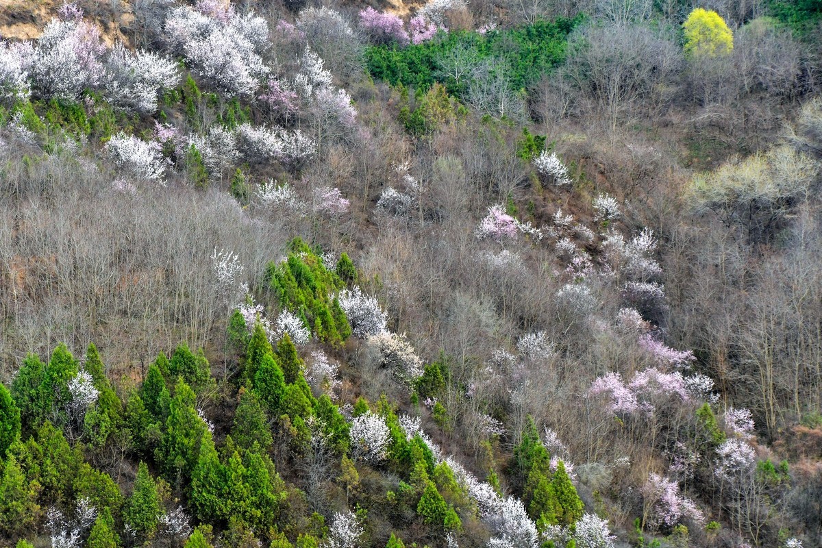 我只是把出去看到的随手记录下来（148）